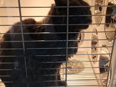 -佳雯宠物医院(金华南路分院)