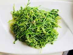 清炒时蔬-鑫悦楼煎蟹·16年海鲜大排档