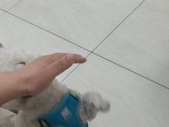 -美联众合动物医院·24h京西诊疗中心