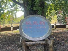 -千年银杏谷文化旅游区