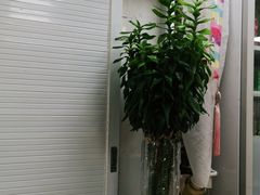 -屋里家延边朝鲜族冷面(南园店)