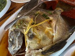 清蒸燕子鱼-蓝湾碧波·老字号·疍家非遗海上餐厅