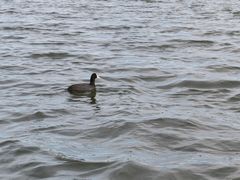 -长春市南湖公园