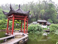 -广州神农草堂中医药博物馆