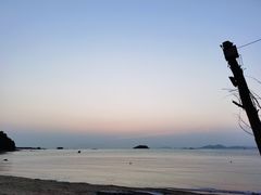 -广东惠东海龟国家级自然保护区