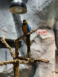 -Zoolung Zoolung动物主题公园(海信广场店)