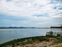 -深圳湾公园(南山区)