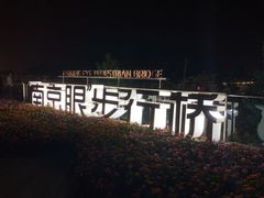 -南京眼步行桥