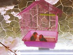 -蓝鲸湾汤泉(包河店)