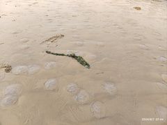 -北戴河东海水浴场