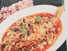 传统干烧大黄鱼-金百万(亦庄店)