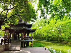 -西溪国家湿地公园