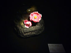 iphone_upload_pic-上海琉璃艺术博物馆