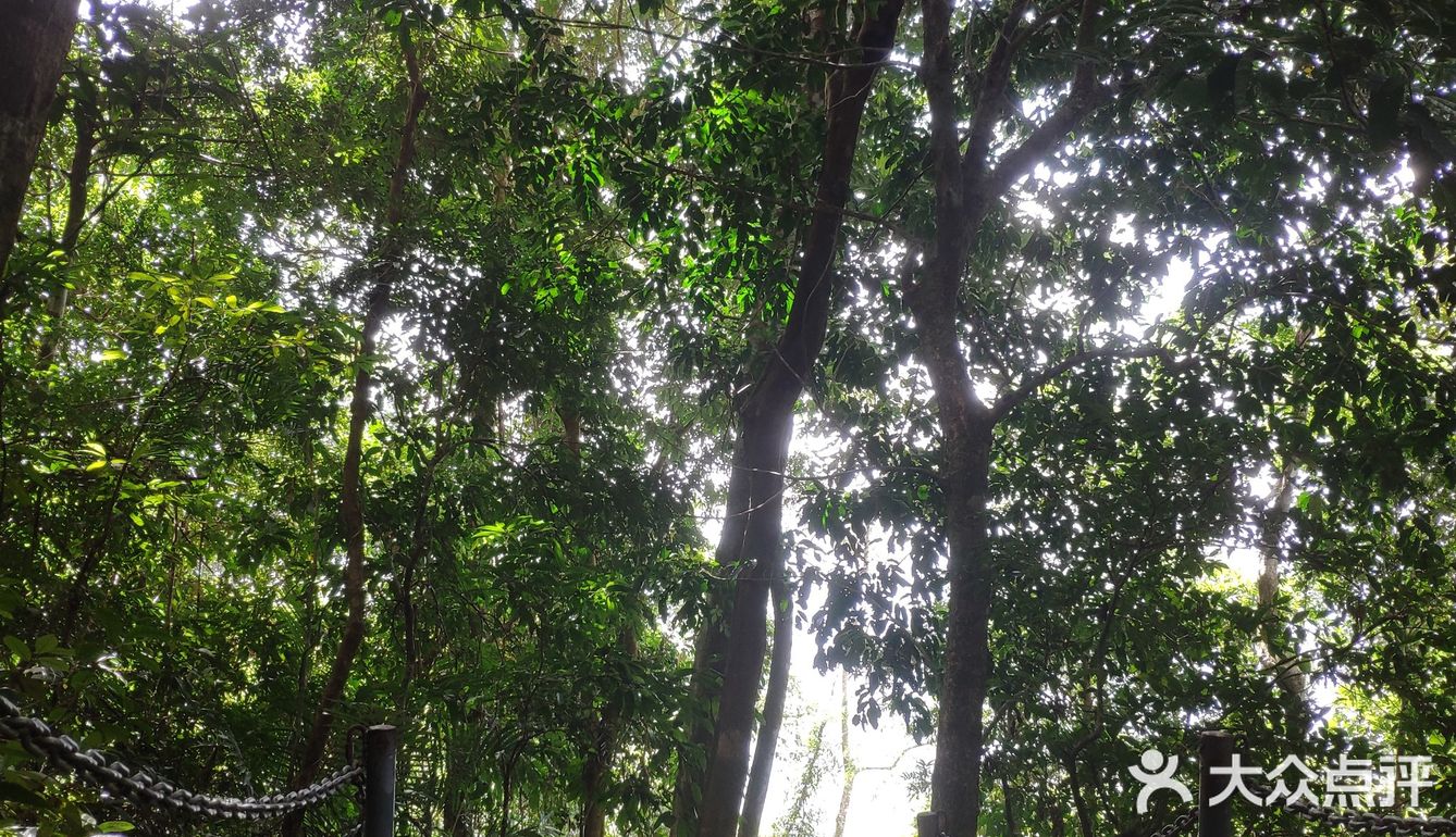 周末去爬山吧--美丽的七仙岭在等你！