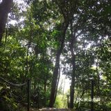 周末去爬山吧--美丽的七仙岭在等你！