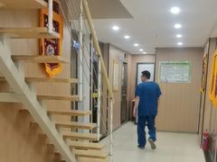 -米苏动物医院·犬猫专科·骨科外科内窥镜