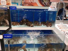波士顿龙虾-盒马鲜生(和谐广场店)