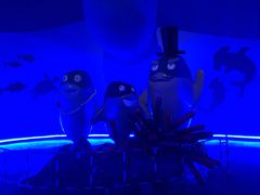 -北戴河圣蓝海洋公园