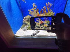 -多彩贵州城极地海洋世界