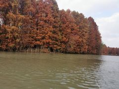 -上海海湾国家森林公园