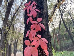 -北京宽沟会议中心
