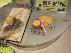 -东寨港红树林旅游区