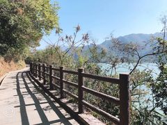 -羚羊峡古栈道森林公园