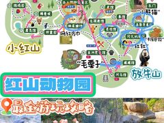 -红山森林动物园