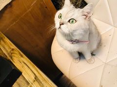 -小时光咖啡馆(北锣鼓巷店)