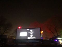 -枫花园汽车电影院(朝阳公园店)