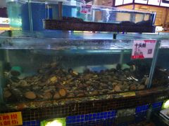 水产区-欢乐海岸美食联盟