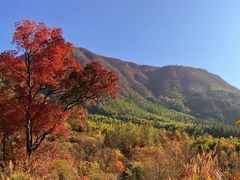 -塔川景区