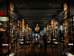 -美国自然历史博物馆