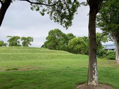 -上海滴水湖皇冠假日酒店