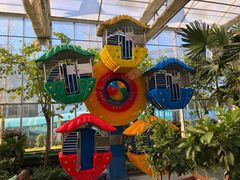 -南宫五洲植物乐园