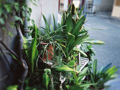 -老宅原住民沙茶面精品小吃(龙头路店)