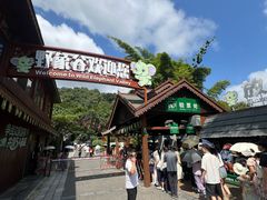 -野象谷景区