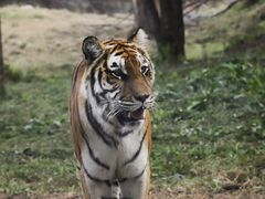 -沈阳森林动物园