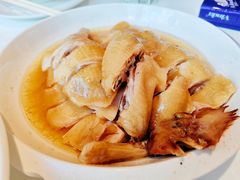 隔水蒸鸡-至潮餐厅精致粤菜·活鲈鱼·走地鸡(珠江新城店)