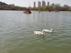 -南翠屏公园