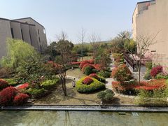 -上海崇明金茂凯悦酒店