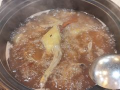 -一煲鸽