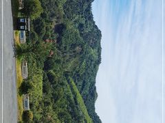 -东天目山风景区