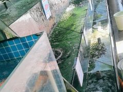 -小海豚•老字号海鲜餐厅(天涯店)