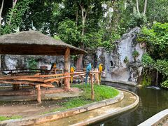 -清迈夜间动物园