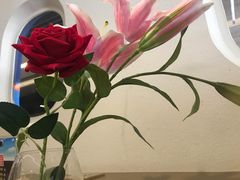 -法兰度航空主题餐厅(东汇城店)