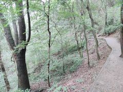 -上海佘山国家森林公园天马山园