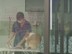 -全心全意动物诊疗中心医院(北苑店)