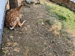 -丽泽山庄·生态怀柔菜·虹鳟鱼(红螺寺店)