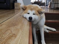 -YCHL Studios健身工作室(市二宫店)